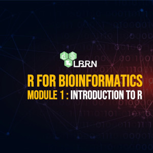 Introduction to R