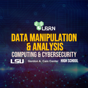 Data Manipulation and Analysis