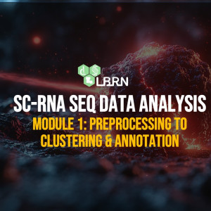 Sc RNA-Seq I: Preprocessing to Cluster Annotation