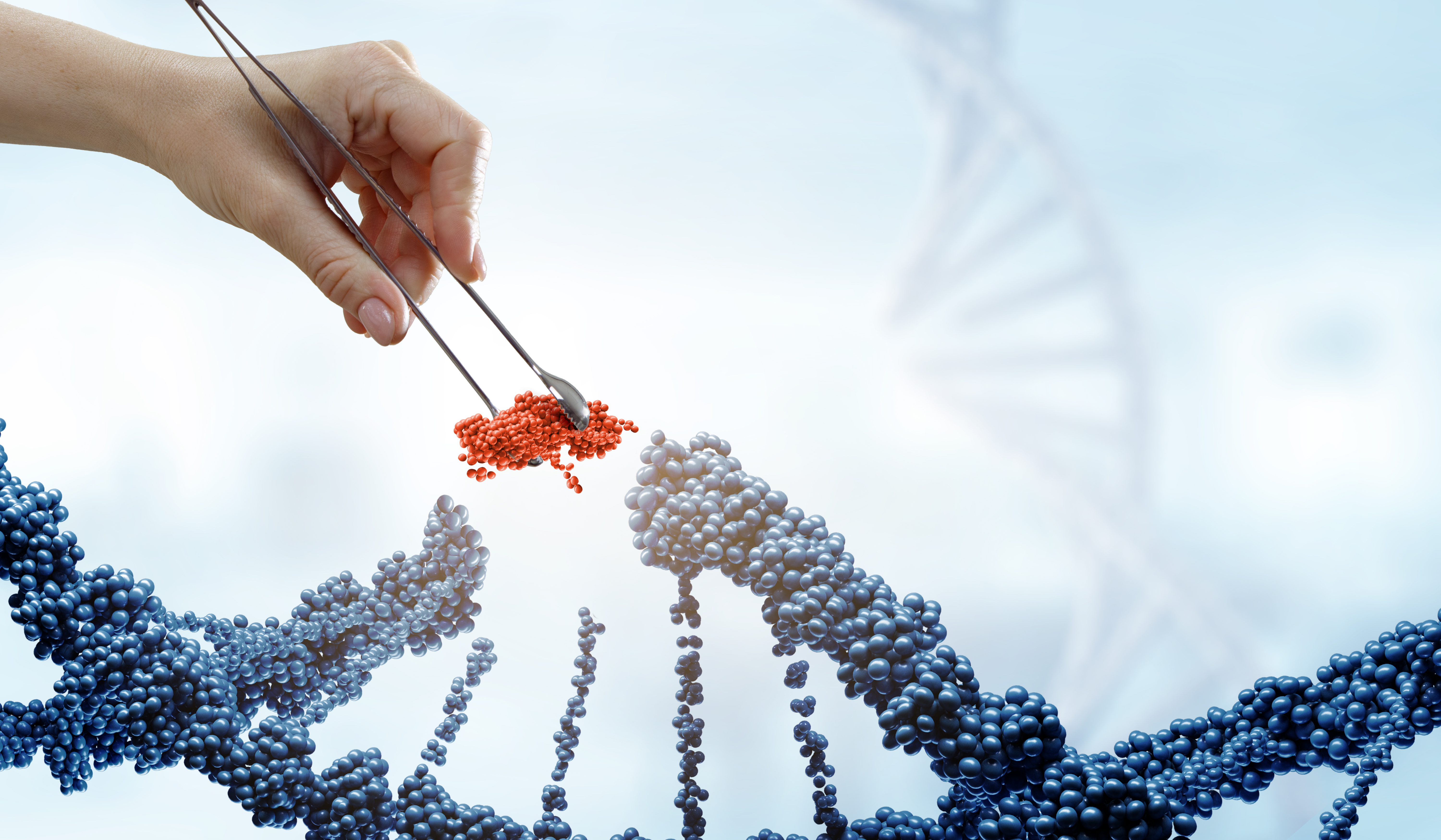 Beginner’s Guide to Different Transcriptomic Studies